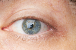 pickel im auge